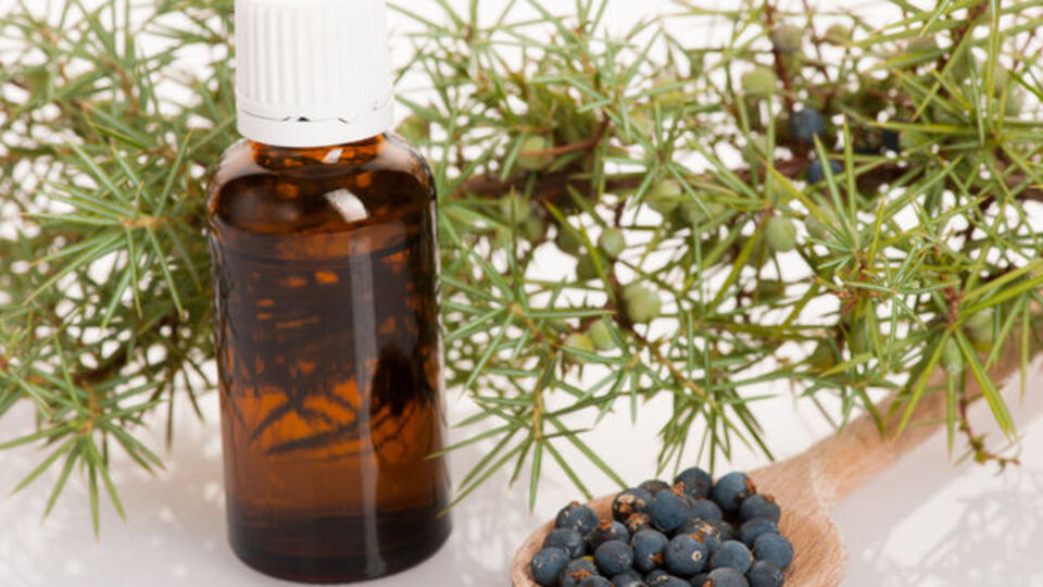 Ardıç yağı faydaları