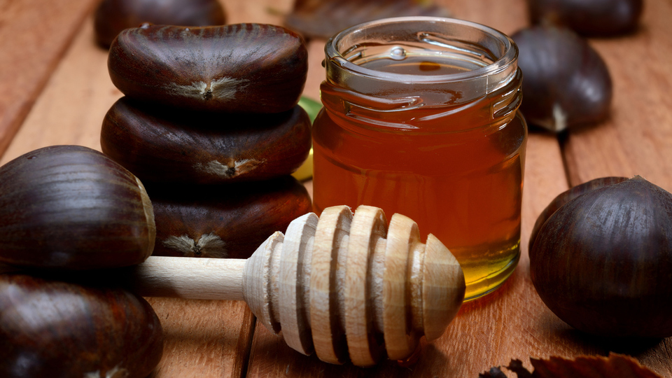 Kestane balı şaşırtan faydaları