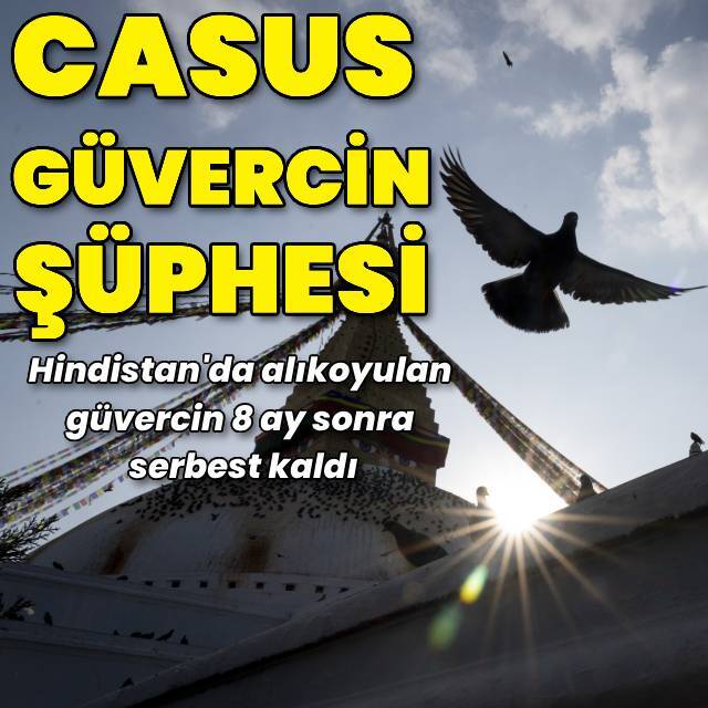 Güvercin 8 ay sonra serbest bırakıldı