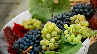 Üzüm çekirdeğinin müthiş faydaları