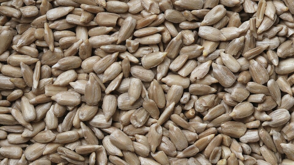 Ay çekirdeğinin bilinmeyen faydaları