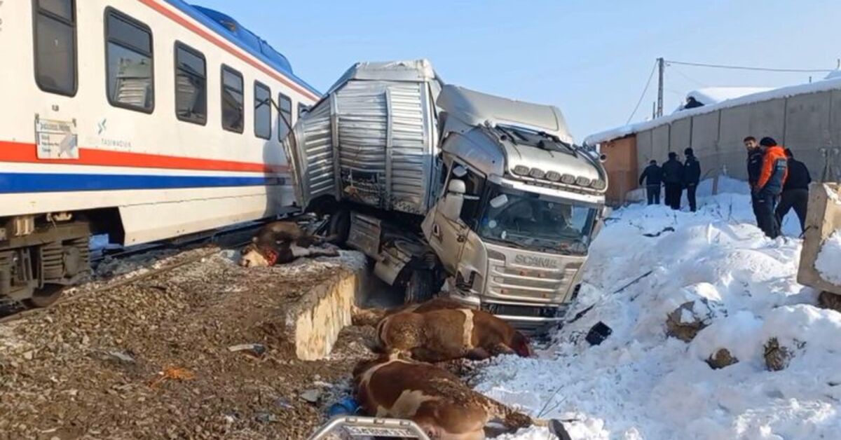 Muş'ta tren hayvan yüklü TIR'a çarptı: 2 ölü 2 yaralı