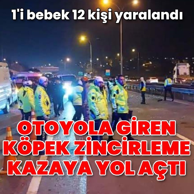Sultanbeyli'de kaza: 12 yaralı