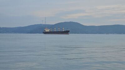 Kılavuz kaptan gemiye binerken denize düştü!