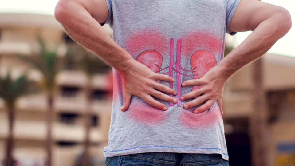 Böbrek yetmezliği nedir