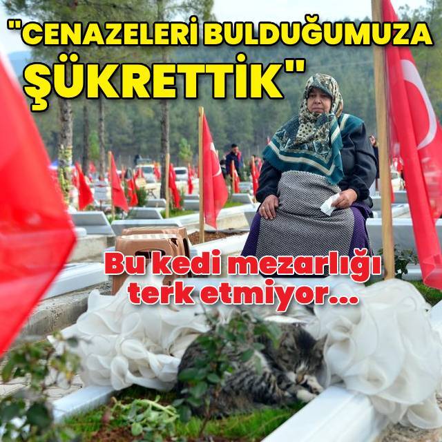Depremzede Ayşe teyze: Cenazeleri bulduğumuza şükrettik