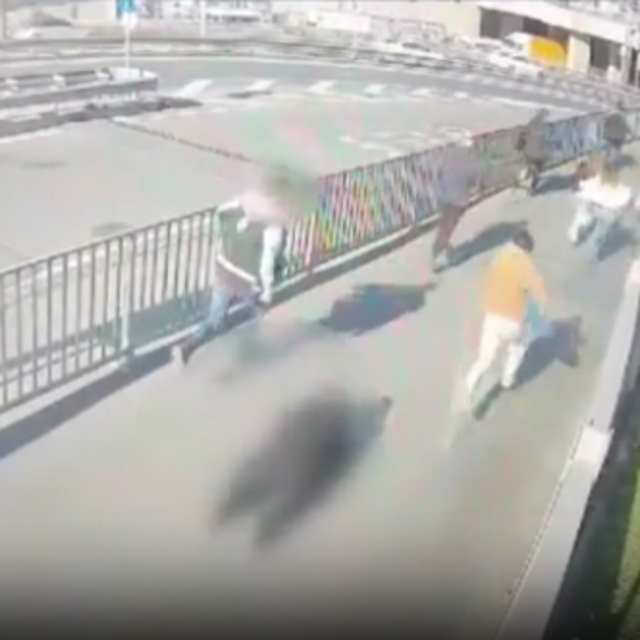 Dilfiraz Karataş böyle şehit oldu!