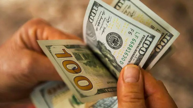 Faizi düşük bulan doları tercih etti