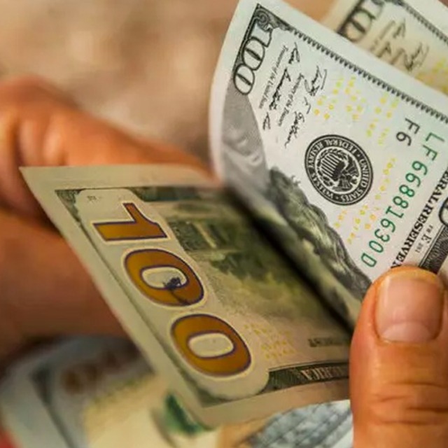 Faizi düşük bulan doları tercih etti