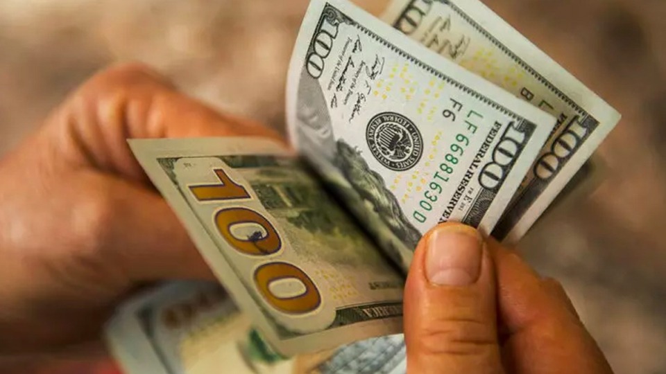 Faizi düşük bulan doları tercih etti