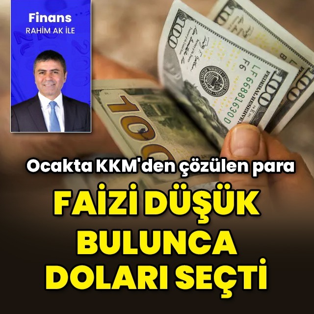 Faizi düşük bulan doları tercih etti