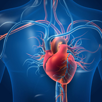 Bu 10 yiyecek kalbe iyi geliyor