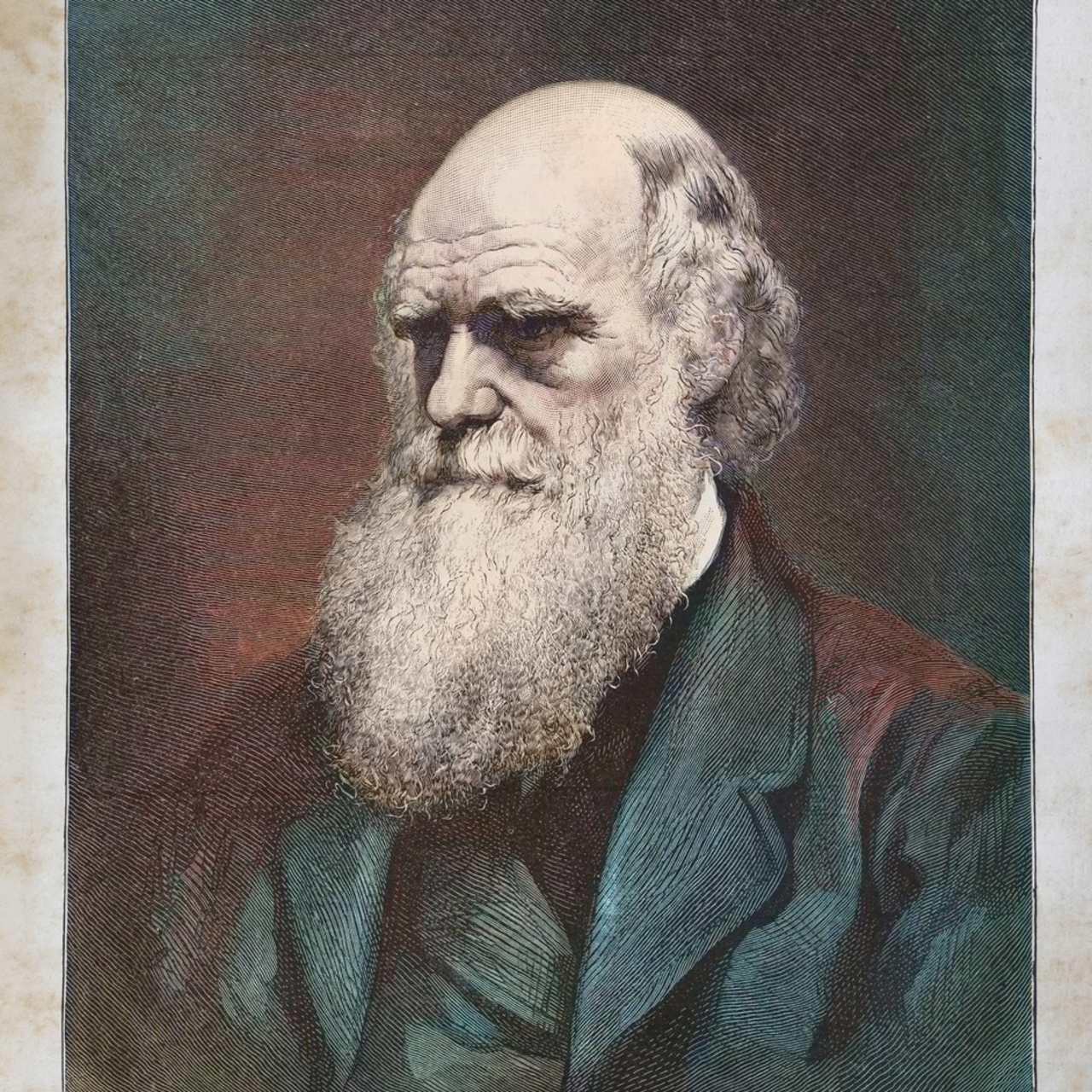 12 Şubat Dünya Darwin Günü