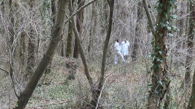 Ağaca kravatlarla bağlanmış cansız beden bulundu!