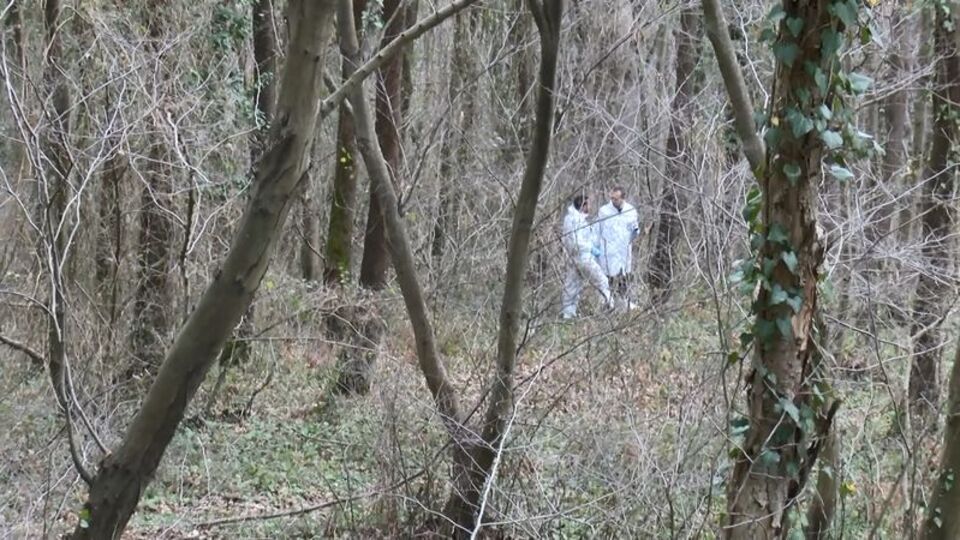 Ağaca kravatlarla bağlanmış cansız beden bulundu!