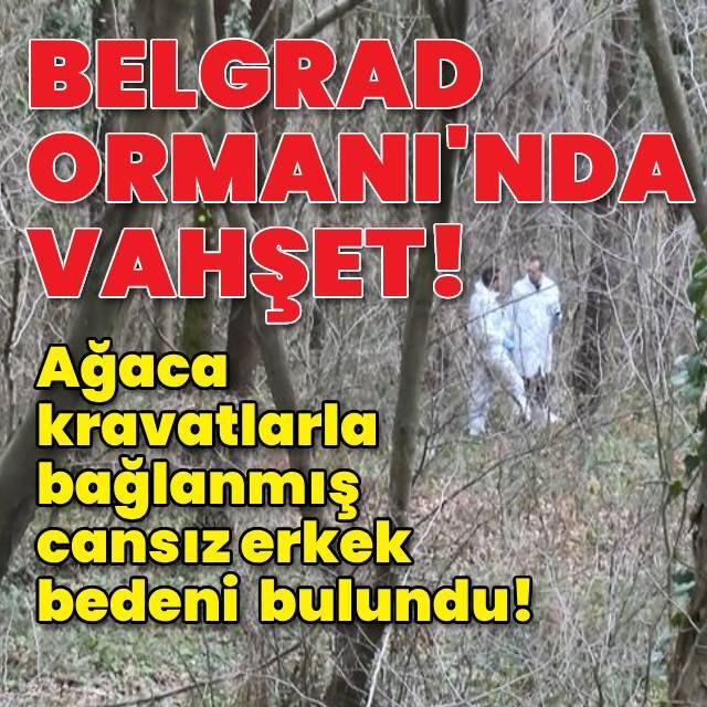 Ağaca kravatlarla bağlanmış cansız beden bulundu!