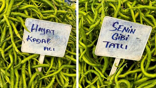 Sabancı, Ayvalık pazarında