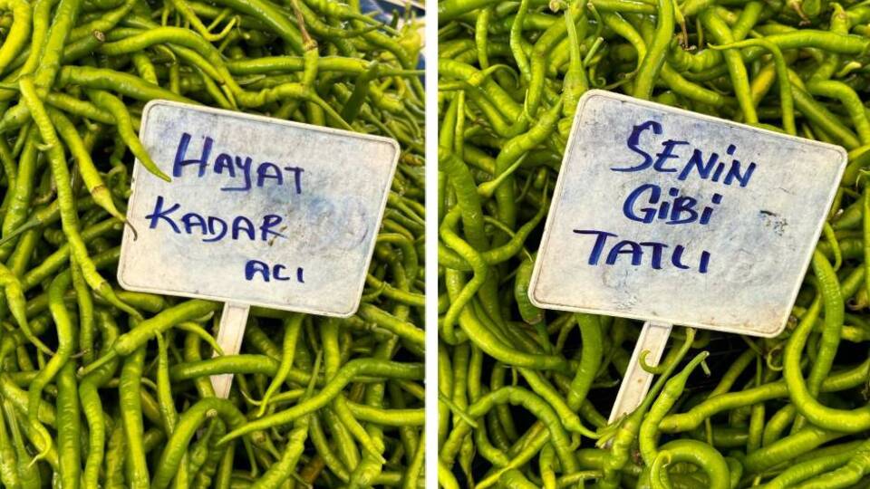 Sabancı, Ayvalık pazarında