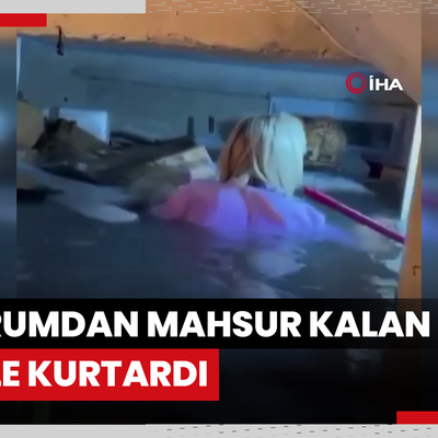 Selde kendi hayatını hiçe saydı, boyu kadar suyla dolu bodrumdan mahsur kalan kediyi böyle kurtardı