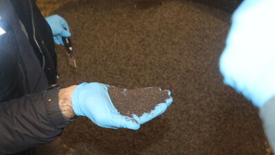 Odun kömürlerinin içinden kaçak çay çıktı!