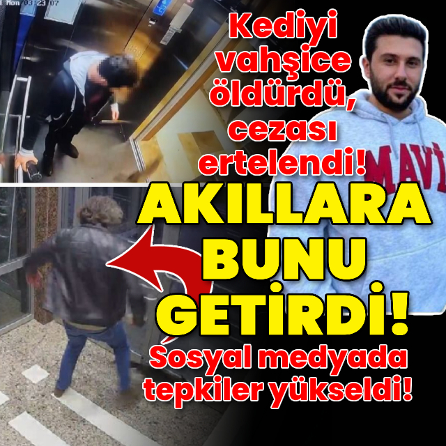 Kediyi vahşice öldürdü, cezası ertelendi!