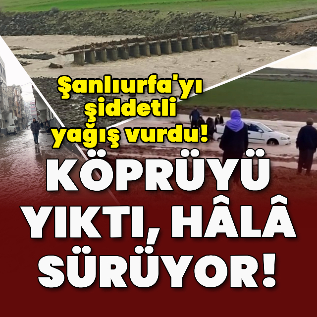Köprüyü yıktı hâlâ sürüyor! Şanlıurfa'yı şiddetli yağış vurdu