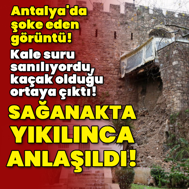 Kale suru sanılıyordu, kaçak olduğu ortaya çıktı!