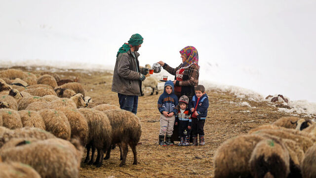 Kışın tek ailenin yaşadığı mahalle!