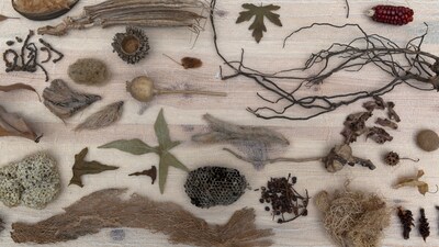 'Filler Neden Öfkeli?'