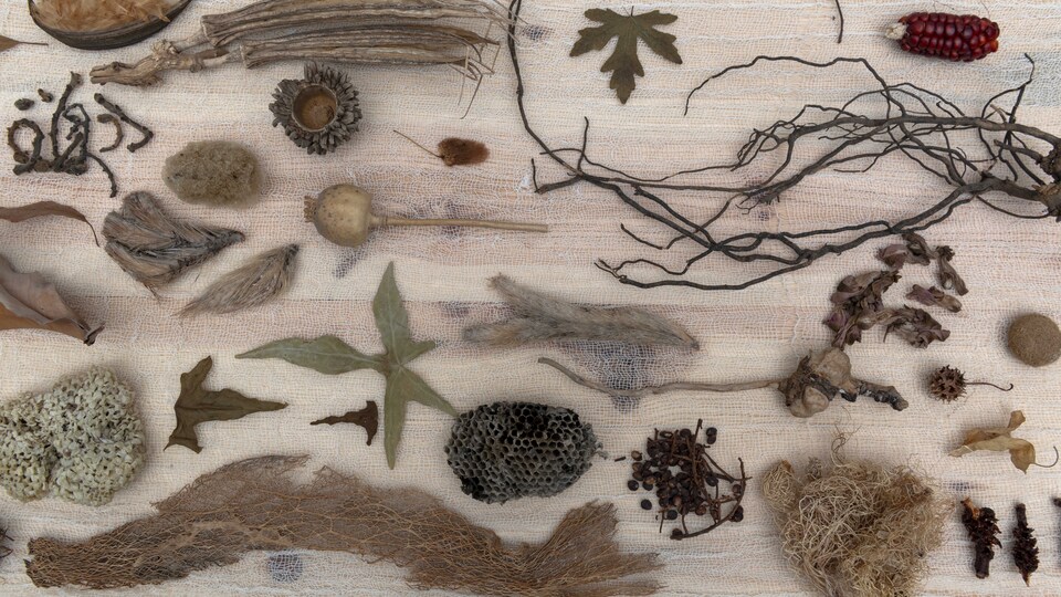 'Filler Neden Öfkeli?'