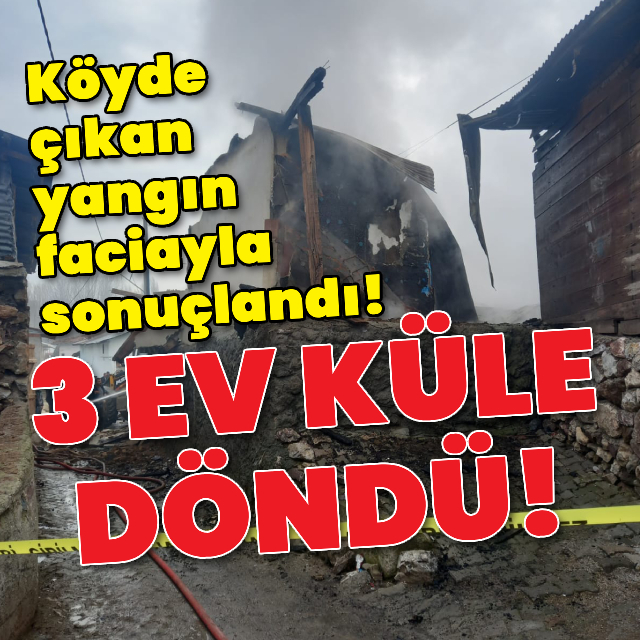 Köyde çıkan yangın faciayla sonuçlandı!