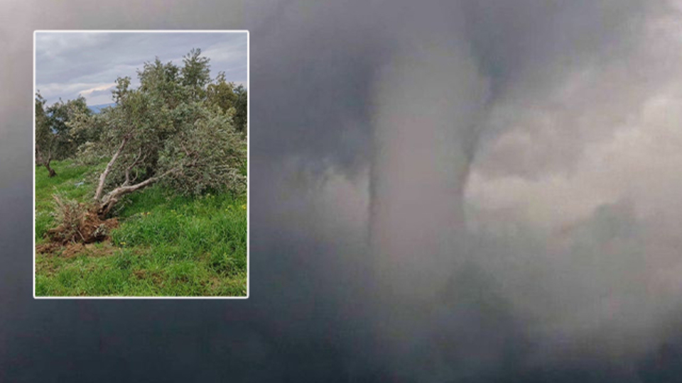 Ağaçlar köklerinden söküldü! O anlar kamerada! Dev hortum!