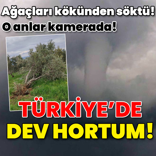 Ağaçlar köklerinden söküldü! O anlar kamerada! Dev hortum!