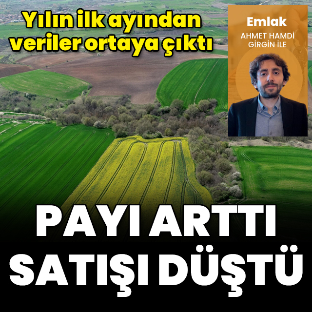 Payı arttı, satışı düştü