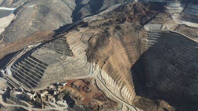 "Dünyada böyle bir liç örneğine rastlamadık!"
