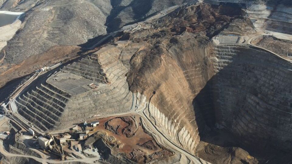 "Dünyada böyle bir liç örneğine rastlamadık!"
