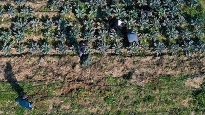 Çöplüktü, liselilerin eliyle bostana dönüştü