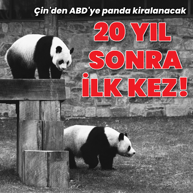 20 yıl sonra ilk kez panda kiralanıyor