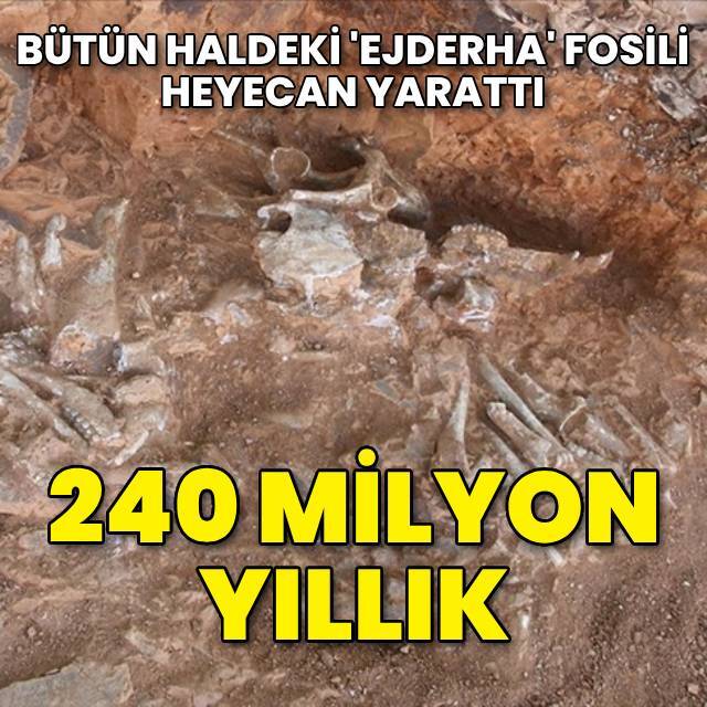 240 milyon yıllık ejderha fosili heyecan yarattı