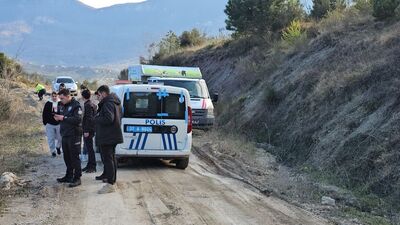 İnsanlık dışı olay! 10 köpek hareketsiz halde bulundu