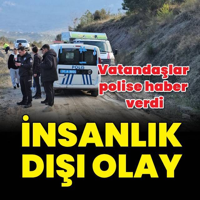 İnsanlık dışı olay! 10 köpek hareketsiz halde bulundu
