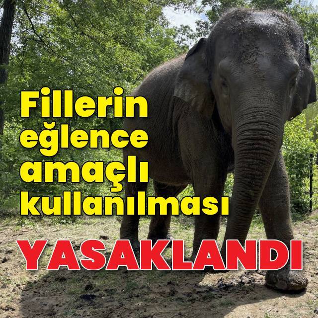 Filler eğlence amacıyla kullanılamayacak