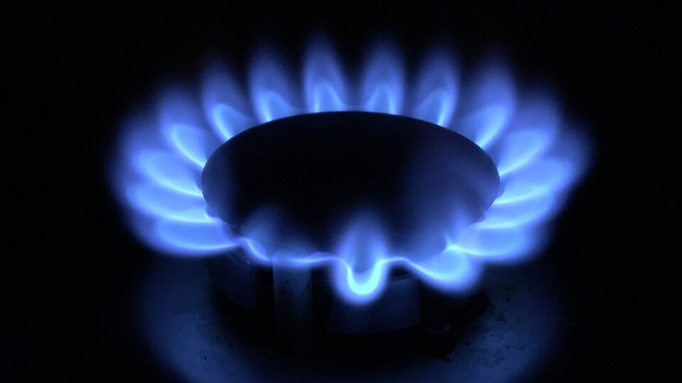 Doğal gaz ithalatında artış