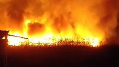 Eber Gölü'ndeki kamışlık alanda yangın çıktı