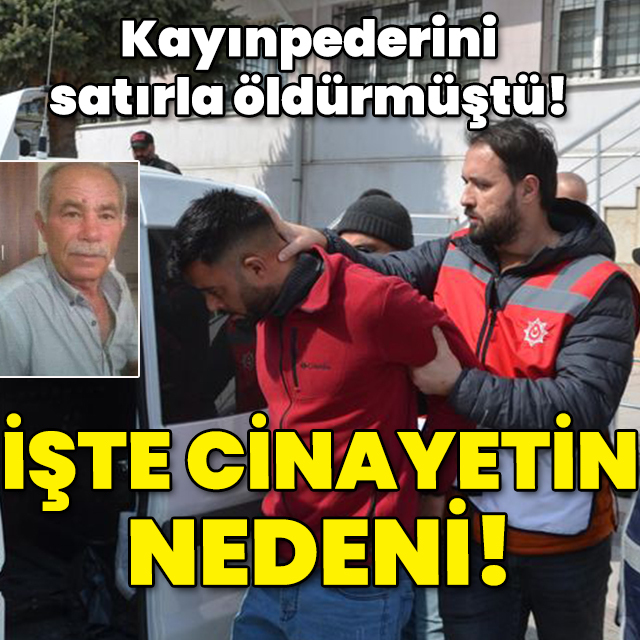 Kayınpederini satırla öldürmüştü! İşte cinayetin nedeni!