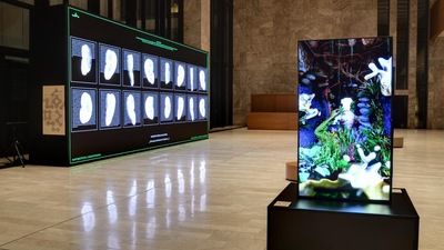 İstanbul Dijital Sanat Festivali AKM'de
