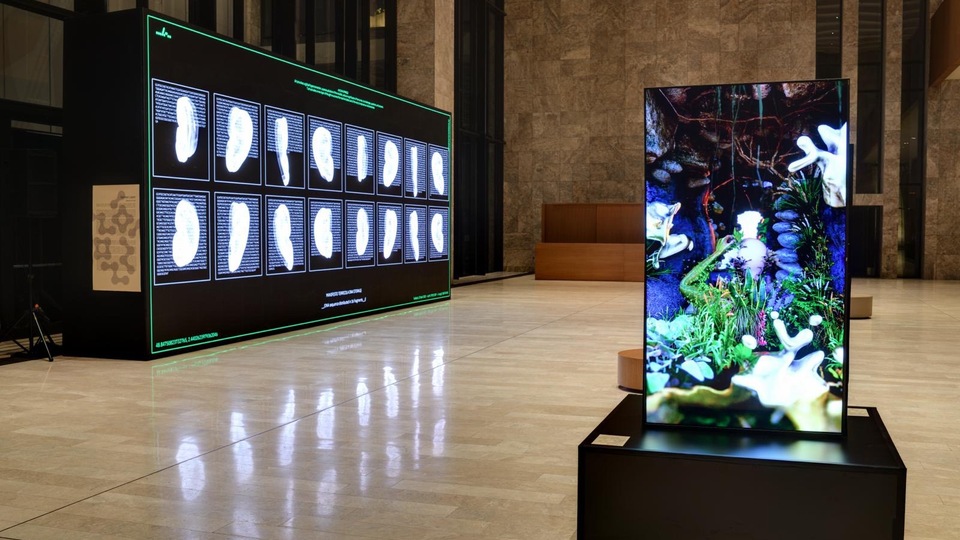 İstanbul Dijital Sanat Festivali AKM'de