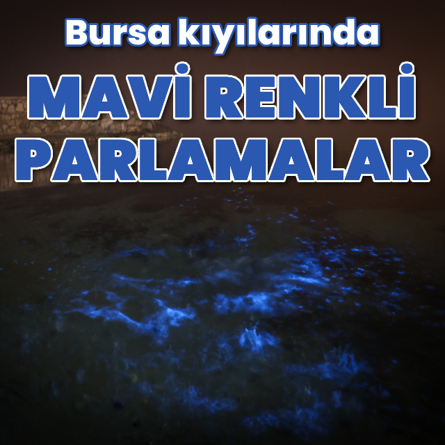 Bursa kıyılarında mavi renkli parlamalar
