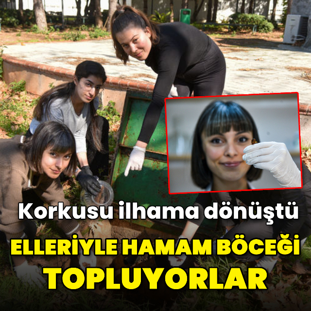 Araştırma için elleriyle foseptikten hamam böceği topluyorlar