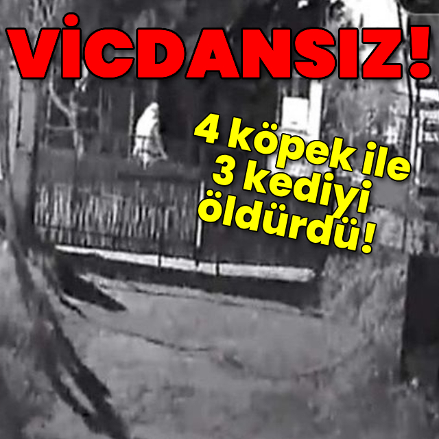 Vicdansız! Zehirli tavuk parçaları ile öldürmüş